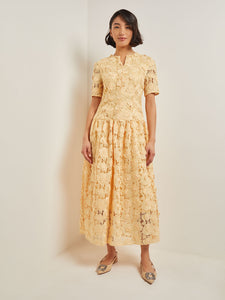 Maxi Pleated Drop Waist Dress - Floral Applique Woven, Pale Gold | Meison Studio Presents Misook